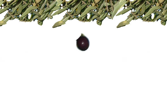 Creation of An Olive....: Step 2